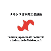 camara japonesa ok